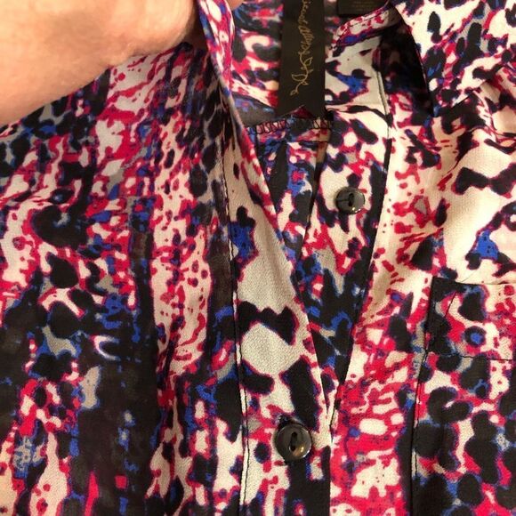 Petticoat Alley Multicolored Semi Sheer Dress - Picture 9 of 15